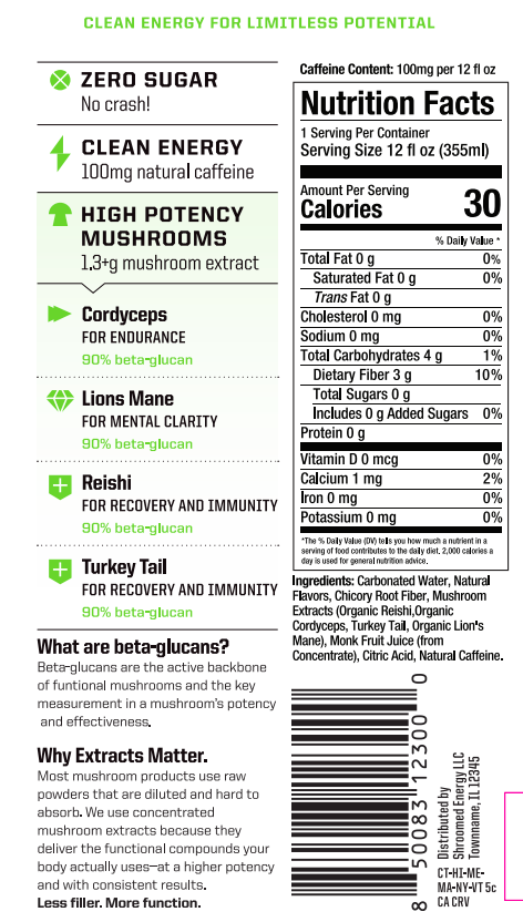 Shroomed Energy — Citrus (6 Pack)